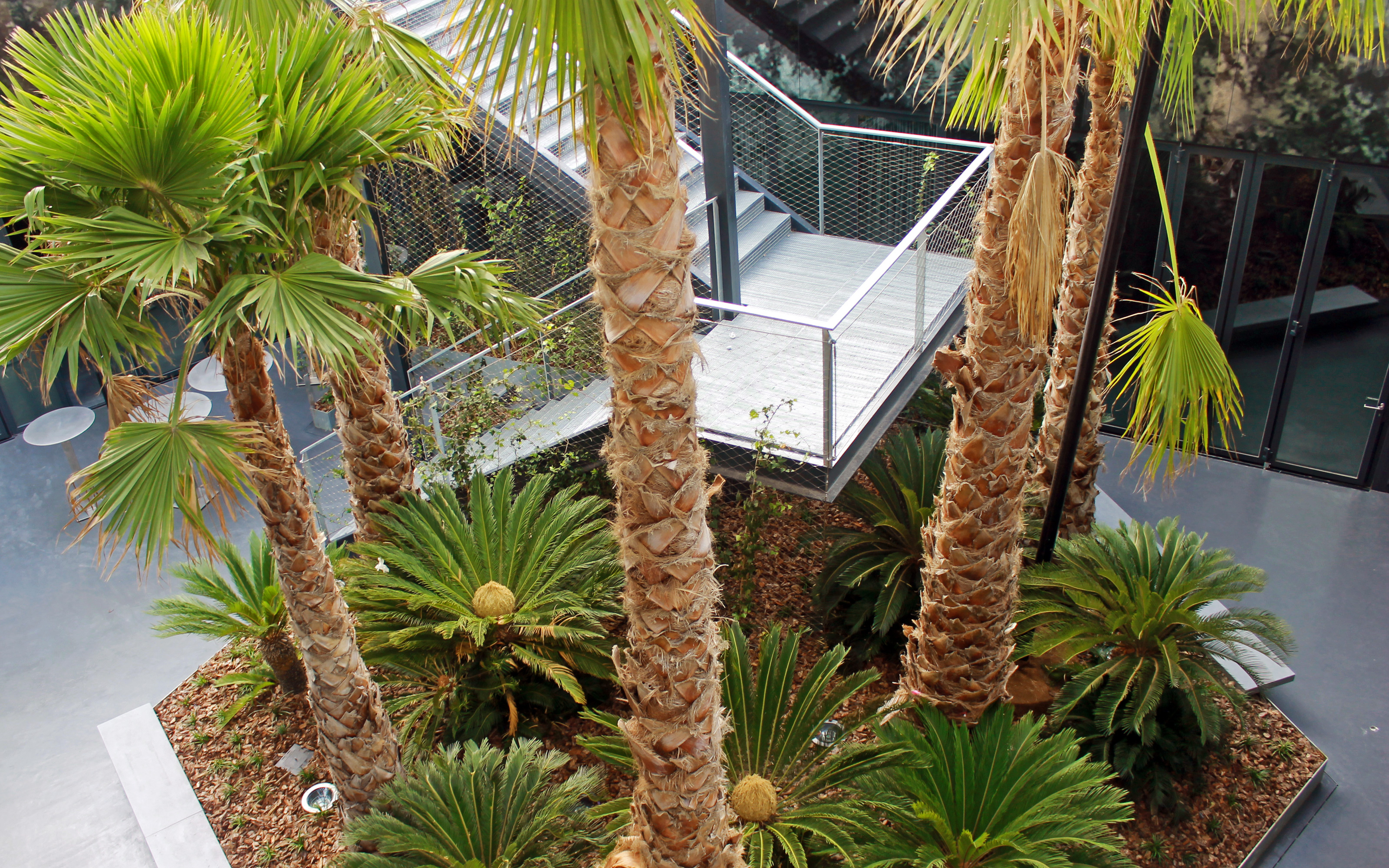 The green roof system build-up “Roof Garden” was applied as a substructure within the planters.  Large palm trees in indoor planters